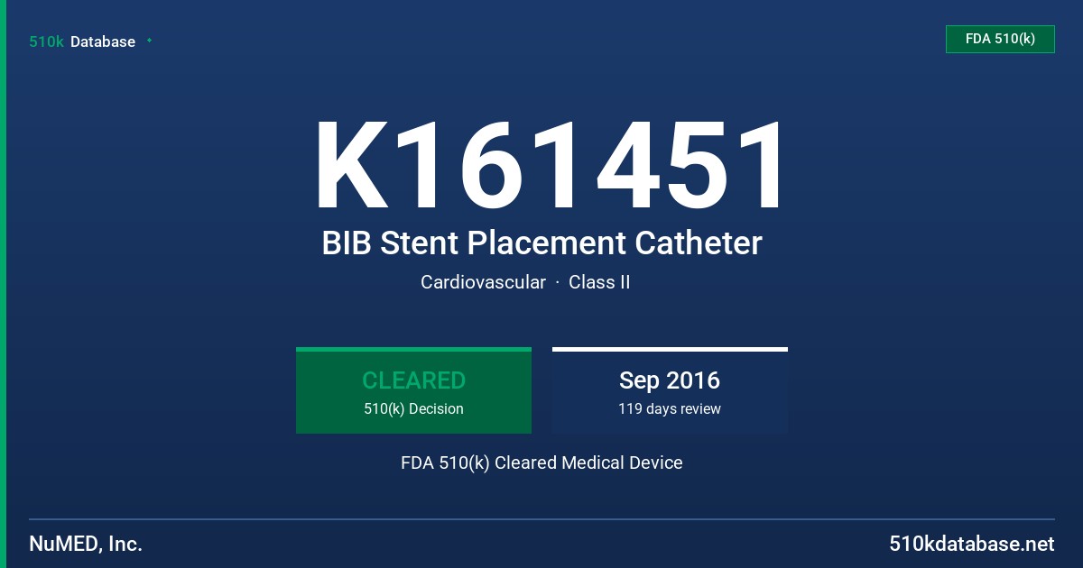 K161451 BIB Stent Placement Catheter FDA 510(k) Cleared Medical Device