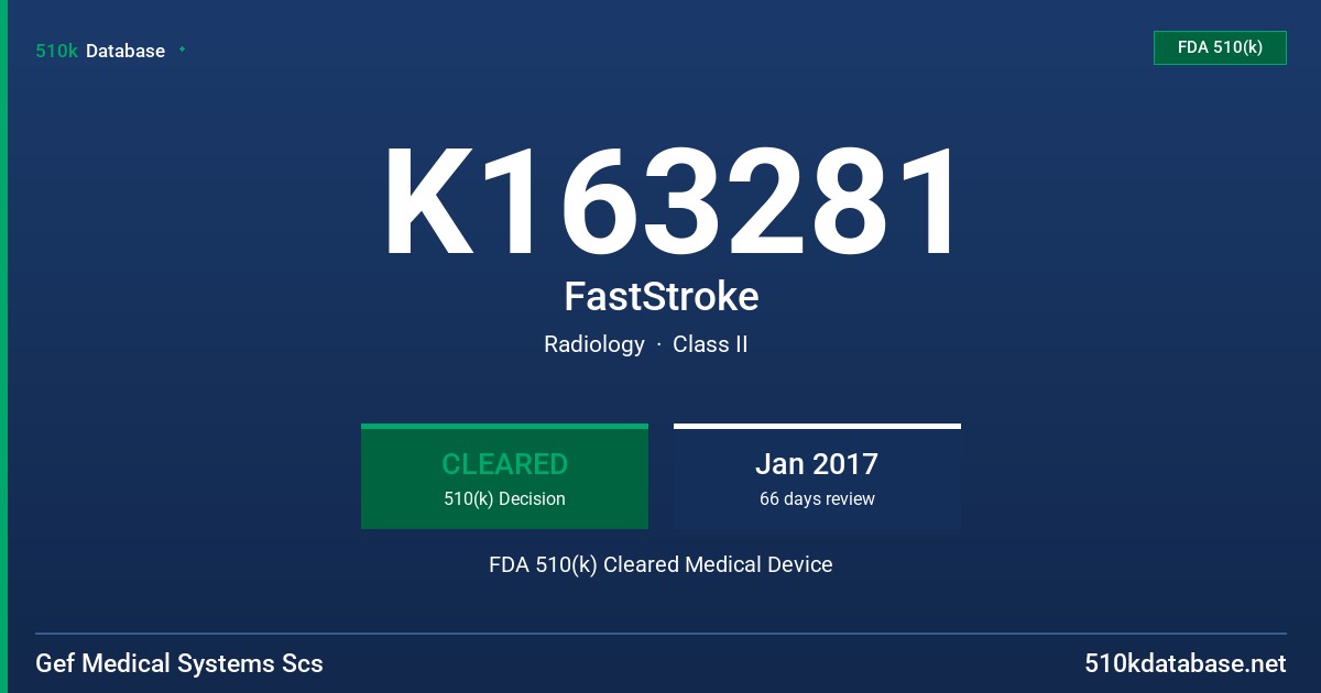 K163281 FastStroke FDA 510(k) Cleared Medical Device