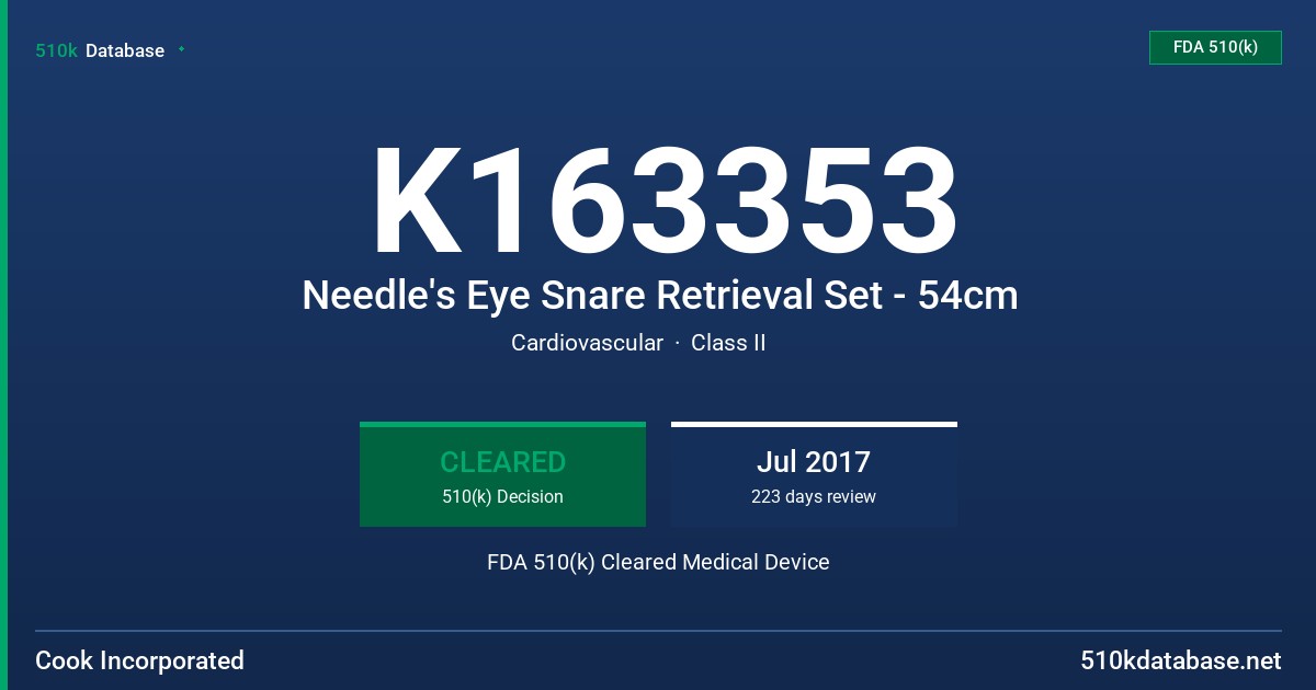 K163353 Needle's Eye Snare Retrieval Set - 54cm FDA 510(k) Cleared Medical Device