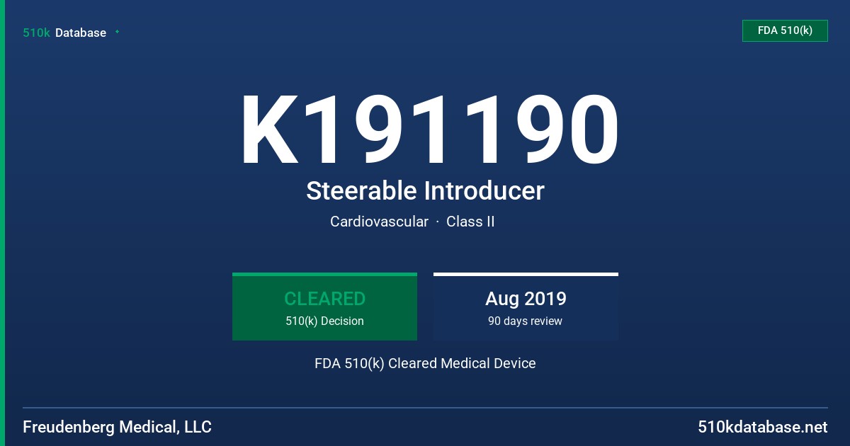 K191190 Steerable Introducer FDA 510(k) Cleared Medical Device