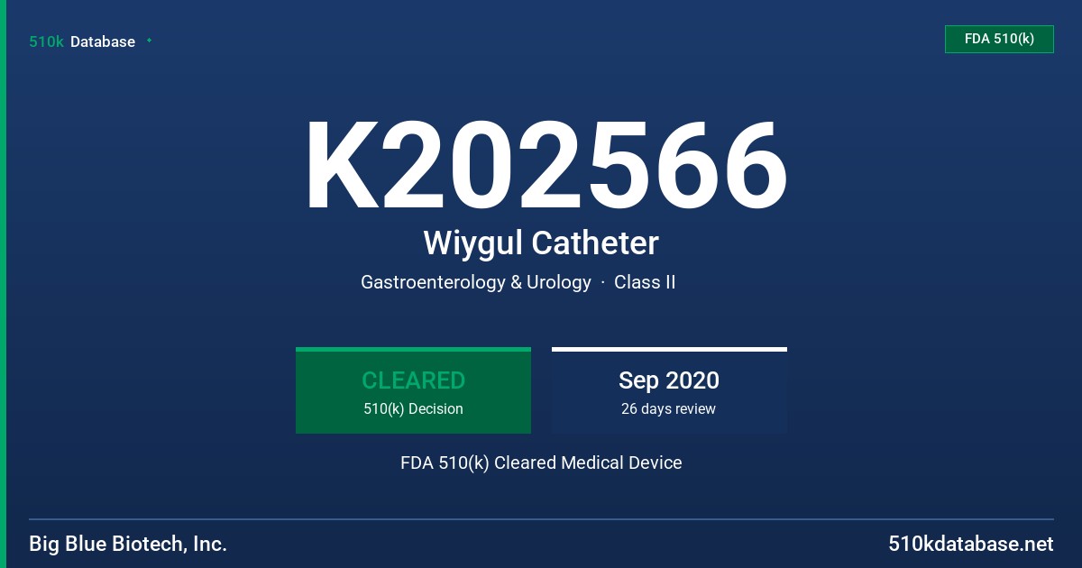 K202566 Wiygul Catheter FDA 510(k) Cleared Medical Device