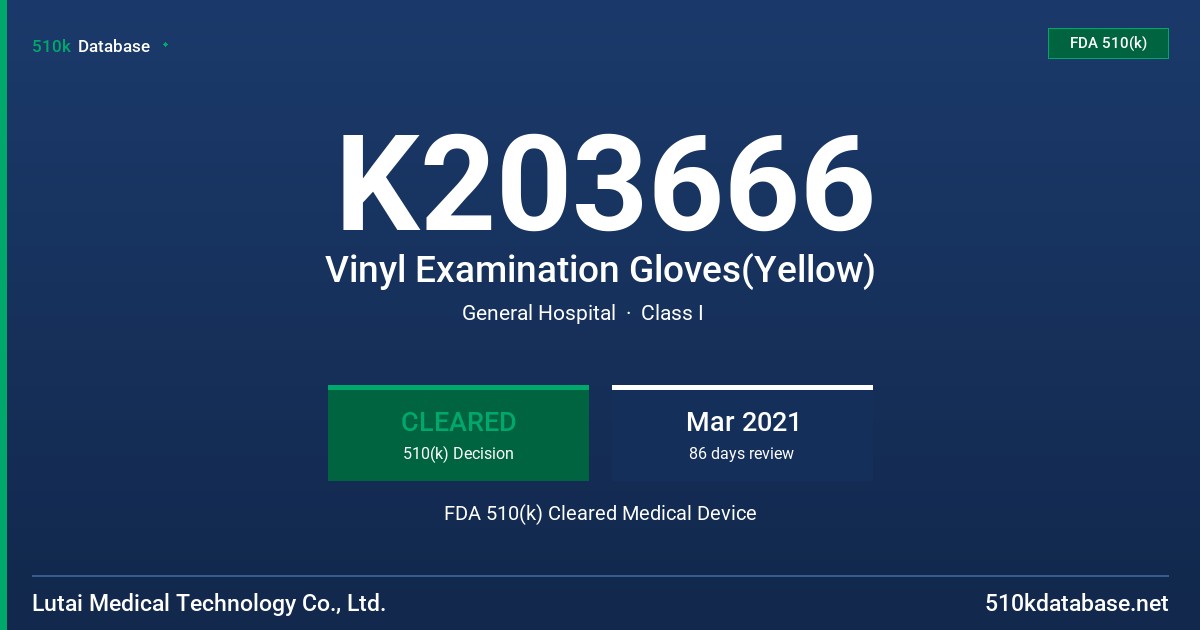 K203666 Vinyl Examination Gloves(Yellow) FDA 510(k) Cleared Medical Device