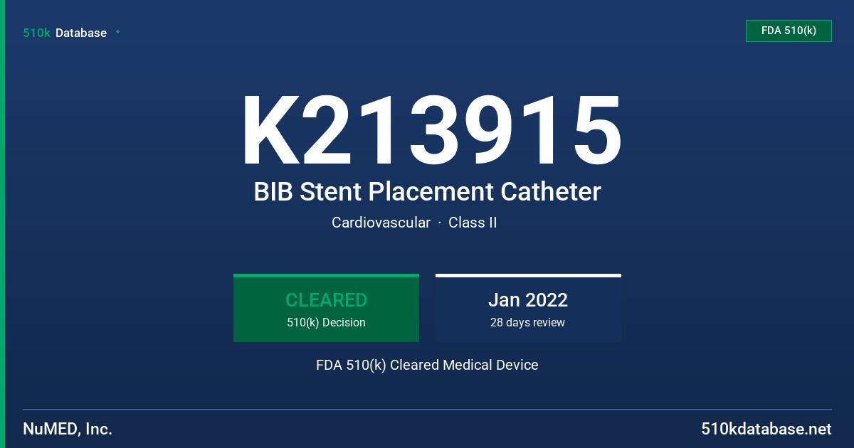 K213915 BIB Stent Placement Catheter FDA 510(k) Cleared Medical Device