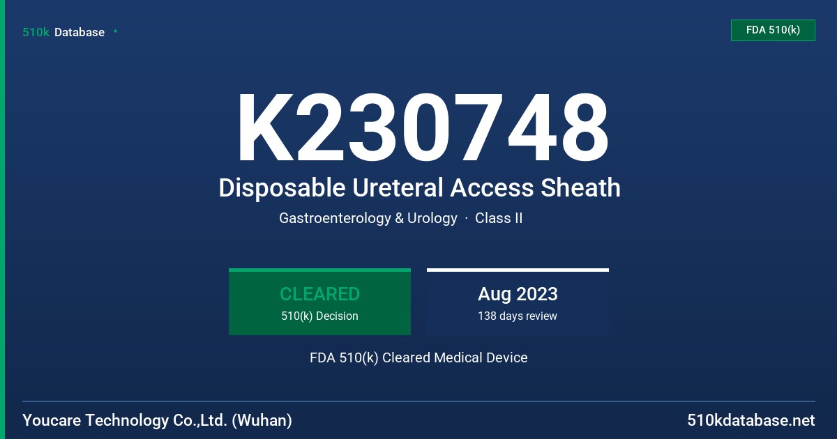 K230748 Disposable Ureteral Access Sheath FDA 510(k) Cleared Medical Device