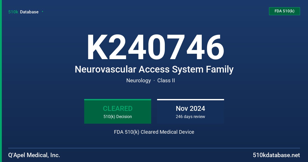 K240746 Neurovascular Access System Family FDA 510(k) Cleared Medical Device