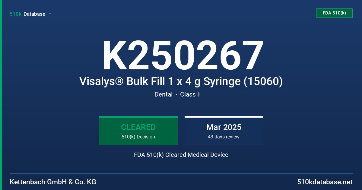 K250267 Visalys® Bulk Fill 1 x 4 g Syringe (15060) FDA 510(k) Cleared Medical Device