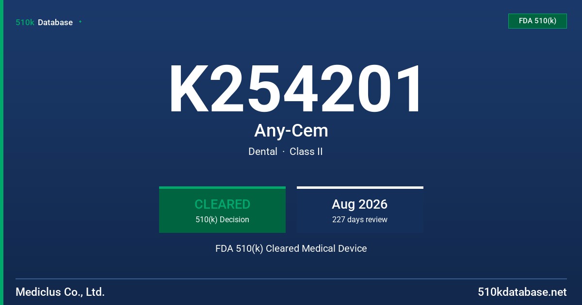 K254201 Any-Cem FDA 510(k) Cleared Medical Device